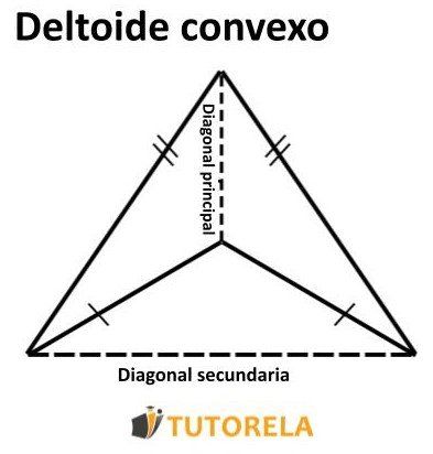 3 -Deltoide convexo