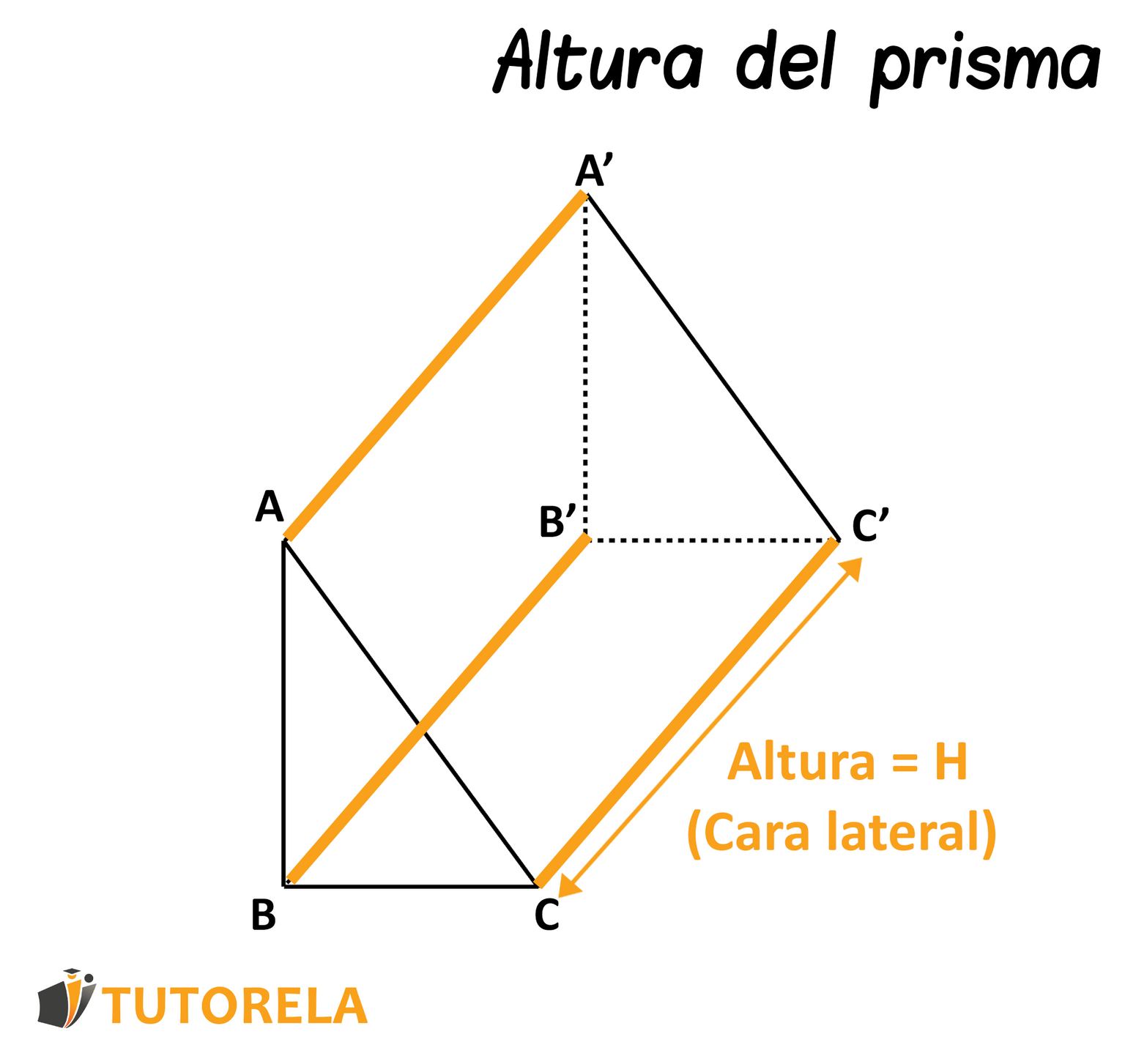 La altura de de un prisma triangular recto