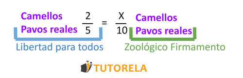 B - 2ccamellos y 5 pavos reales