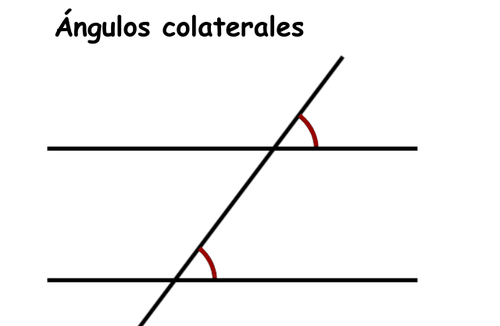 Angulos_colaterales.original
