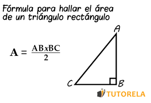 Alivio Presentar célula Área de un triángulo rectángulo | Tutorela