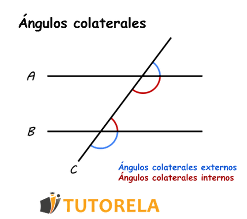 Ángulos colaterales externos Ángulos colaterales internos