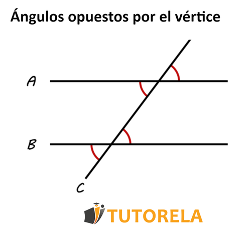 3.c - Ángulos opuestos por el vertice nuevo