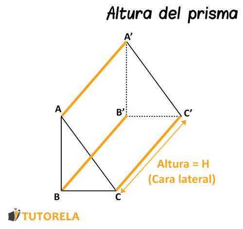 imagen La_altura_de_de_un_prisma_triangular_recto