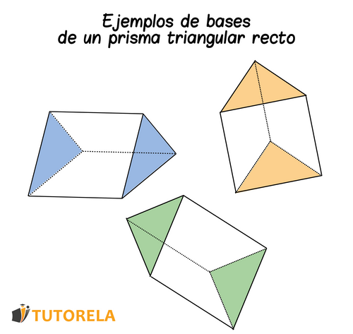 Las bases del prisma triangular recto | Tutorela