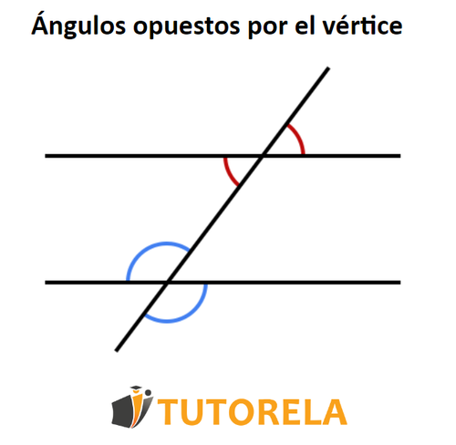 2 -ángulos opuestos por el vértice