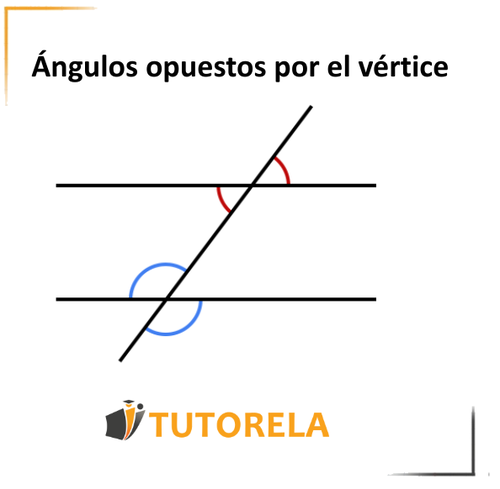 imagen 11- Ángulos opuestos por el vértice