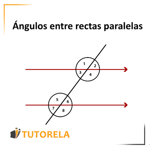 imagen 10 - Ángulos entre rectas paralelas