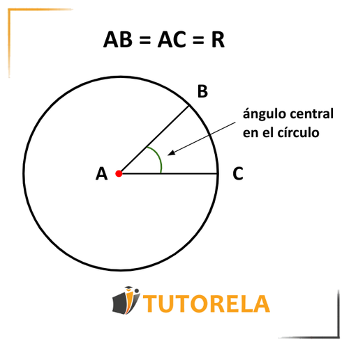 El ángulo que se creará será un ángulo central en el círculo