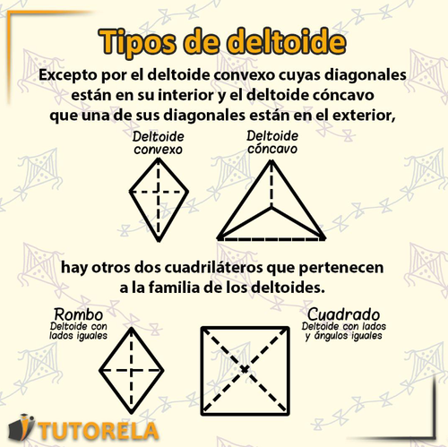 3 Un breve resumen visual sobre el artículo del deltoide 3