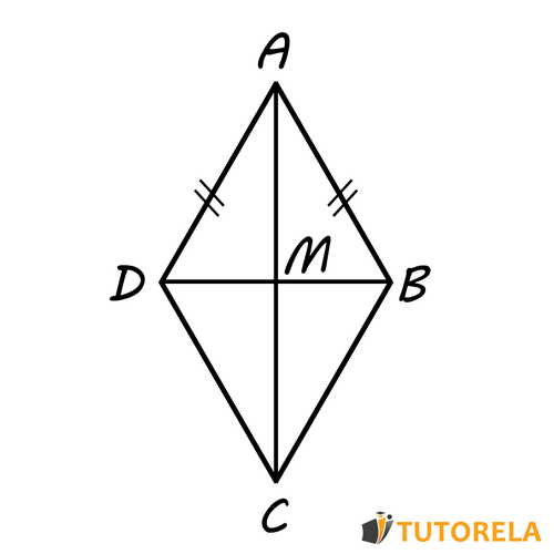 Practica deltoides parte 2