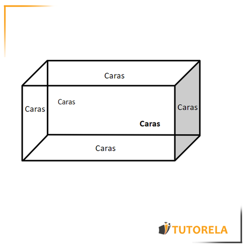 El ortoedro tiene 6 caras