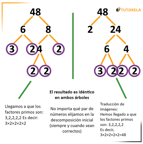 Seguiremos descomponiendo todos los números compuestos hasta llegar sólo a primos