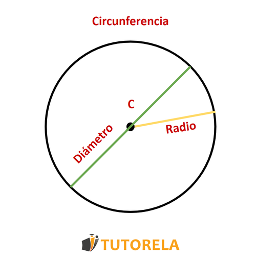 Un círculo está conformado por un centro, un radio, un diámetro y por una circunferencia