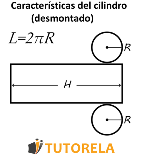 Características del cilindro (desmontado)