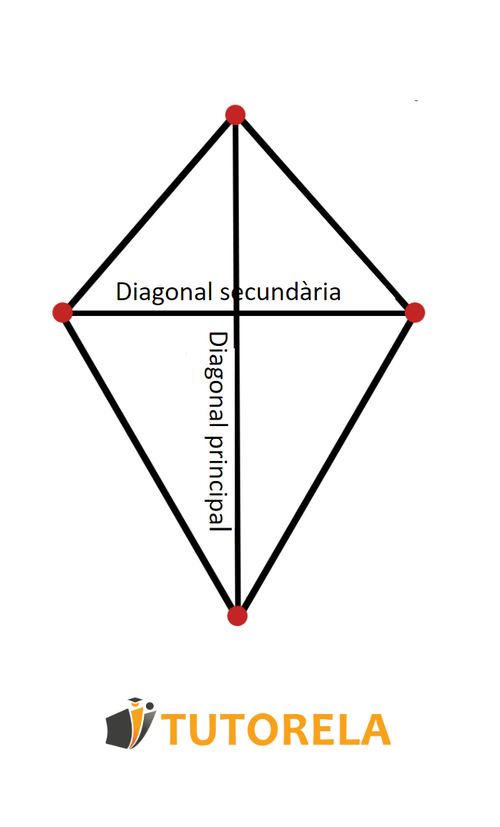 B2 - Deltoide convexo
